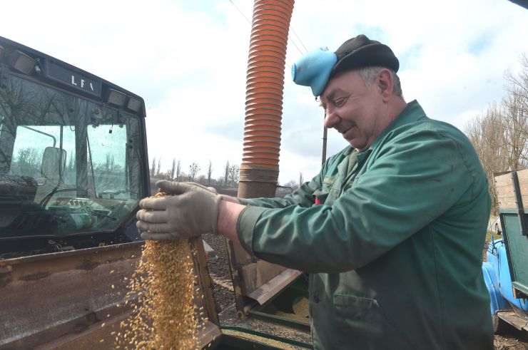 Посівна у НДГ Великоснітинське
Відокремлений підрозділ Національного університету біоресурсів і природокористування «Великоснітинське навчально-дослідне господарство ім. О.В.Музиченка» повним ходом сіє ячмінь, далі на черзі овес, соняшник, кукурудза, сорго та інші ярі культури.  Вже відбулося перше підживлення озимини на всіх засіяних площах. Зараз посіви боронуються роторною бороною, щоб забезпечити активне дихання і розвиток рослин. Робітник Віктор Григорина
