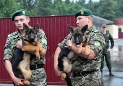 Київ. На базі Окремої комендатури охорони і забезпечення Державної прикордонної служби України відбулась передача службових собак від громадської організації Кінологічна спілка України