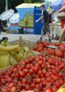 Київ, продаж черешні.  Вулична торгівля