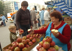 Ярмарок на площі Лесі Українки, продаж яблук, меду. 