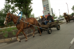 Дніпропетровська область 
Райцентр Апостолове
