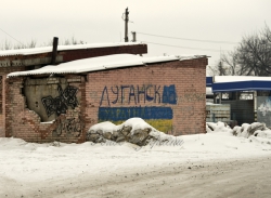 Місто Золоте. Луганська область. Багатодітна родина Печених.