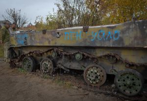 Горінська сільська громада, садове товариство «Пуща Водиця» Києво-Святошінського р-ну. Наслідки російської агрессії