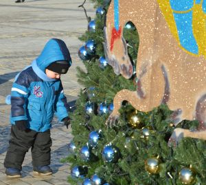 На Софійській площі в центрі Києва встановлено символічну ялинку незламності.